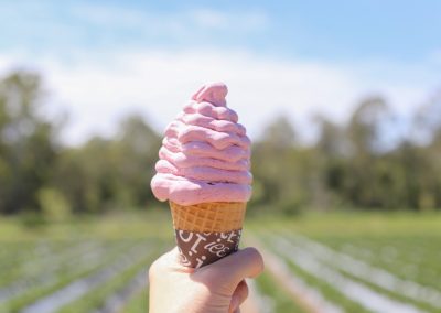 Beauty Berry Sherbet Soft Serve
