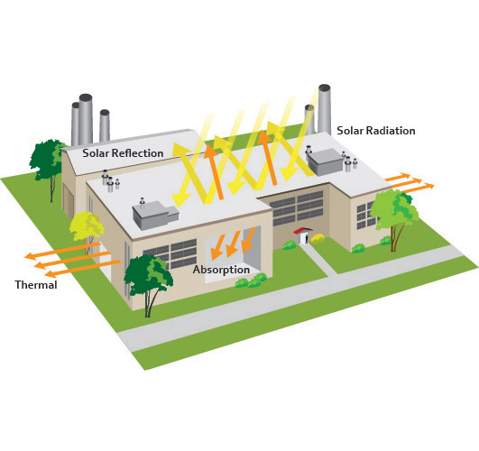 Asset-1-80 pouring everday milk tea into a glass