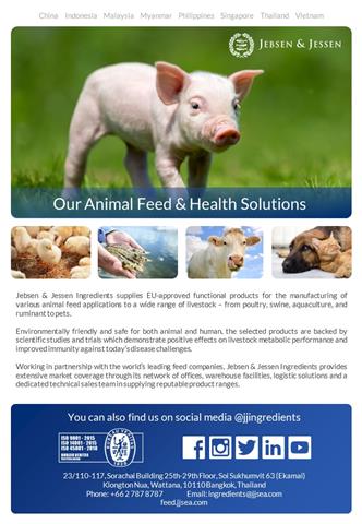 Feed Product Catalogue - Thumb Feed Product Catalogue - Thumb