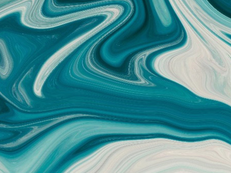 swarm of fish swimming