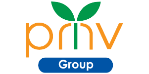 PMV Group Logo