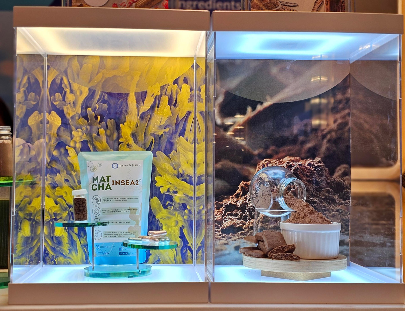 Spotlight-Ingredients