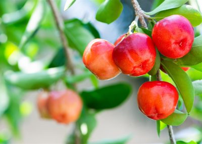 Healthy Beauty from Within – Part 2: The Power of Antioxidants