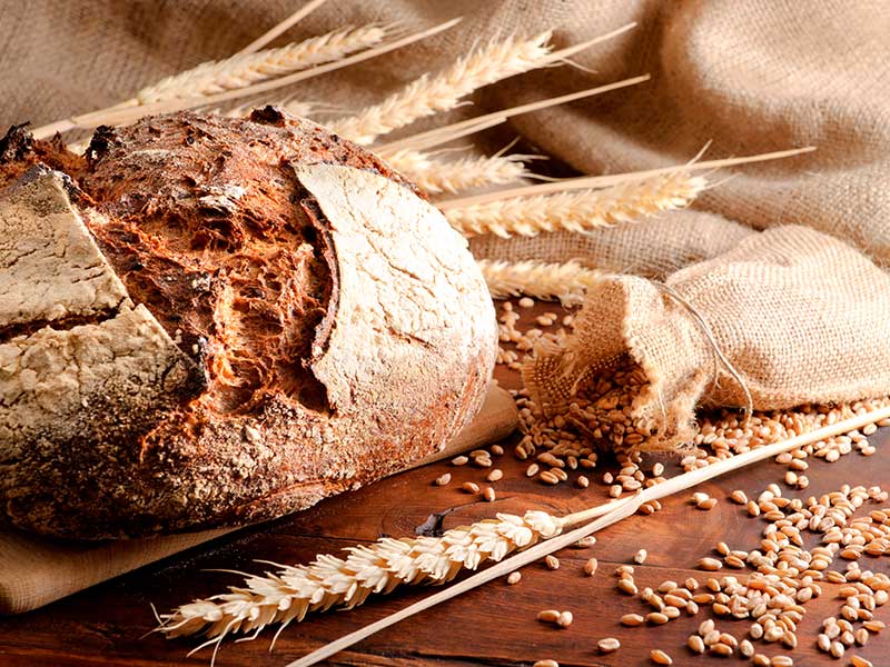 bread and grains