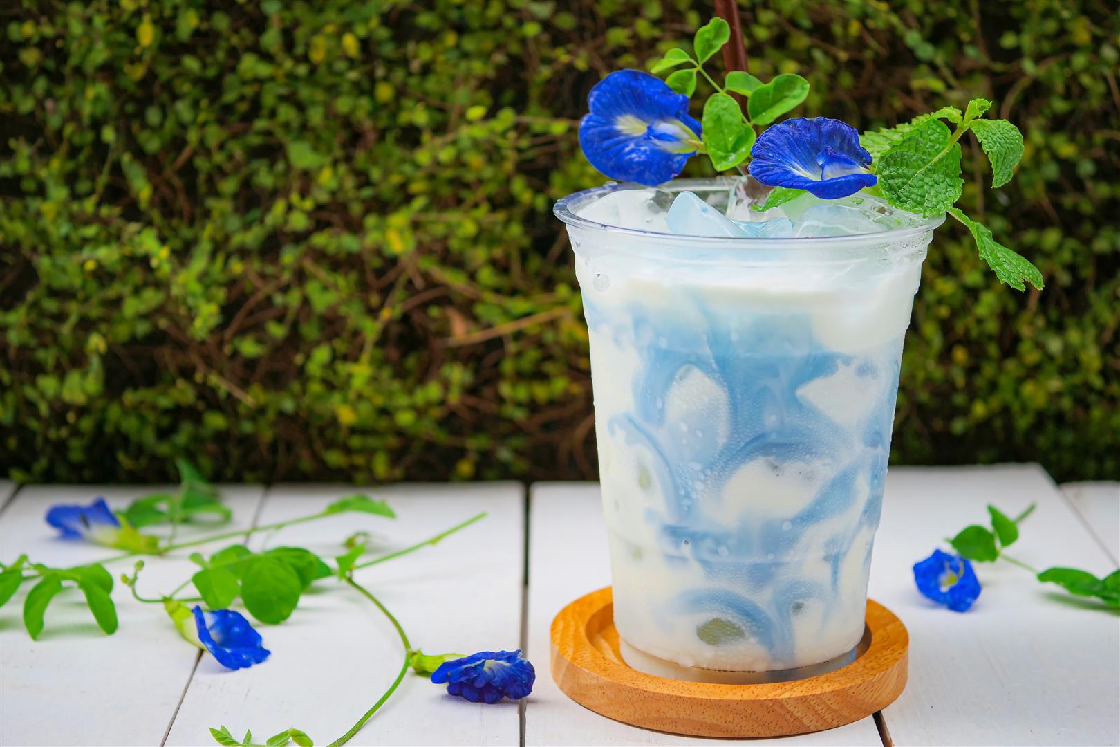 Malt on The Cloud Slushy Malt on The Cloud Slushy