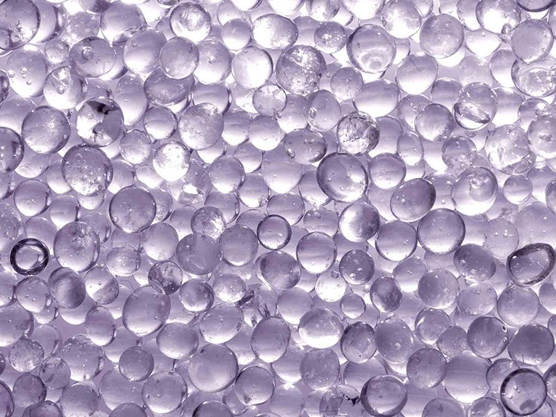 swarm of fish swimming