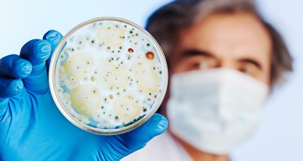 scientific-research-Large-1-980x522 scientific-research-Large-1-980x522