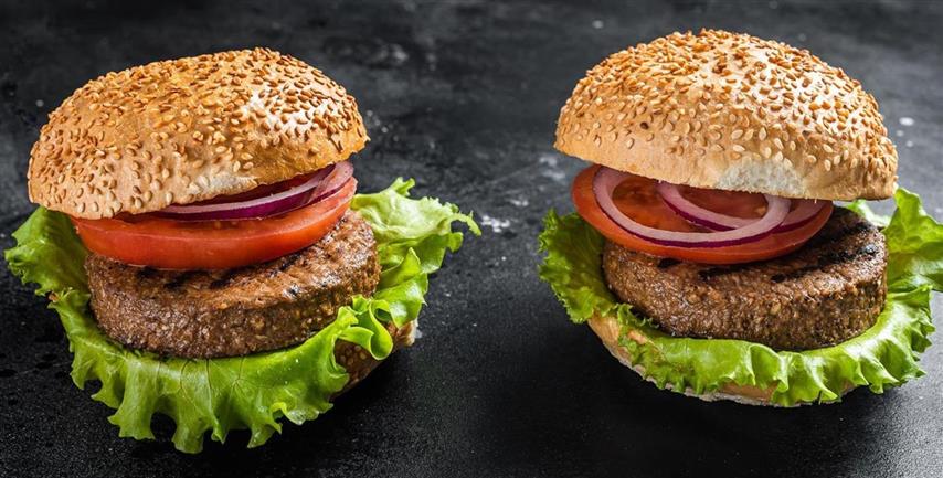 vegan-burger-with-plant-based-meatless-cutlets-patties-tomato-onion-black-background-top-view(Small) vegan-burger-with-plant-based-meatless-cutlets-patties-tomato-onion-black-background-top-view(Small)
